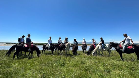 Zoige Grassland Nanxijia Horse Riding Shop