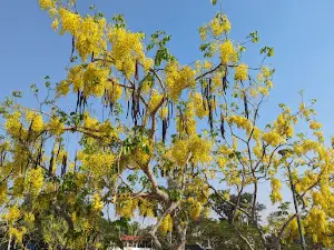Parque San Jacinto