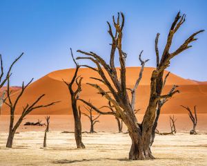香港-索蘇斯維雷 機票酒店 自由行