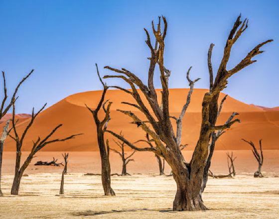 索蘇斯維雷 自由行套票