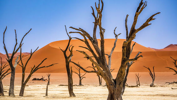 Sossusvlei UNESCO Site by About Africa Co