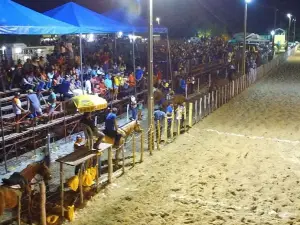 Parque Santa Luzia, Coivaras Pi