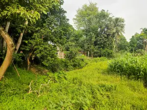 Andharmanik Padmar Par