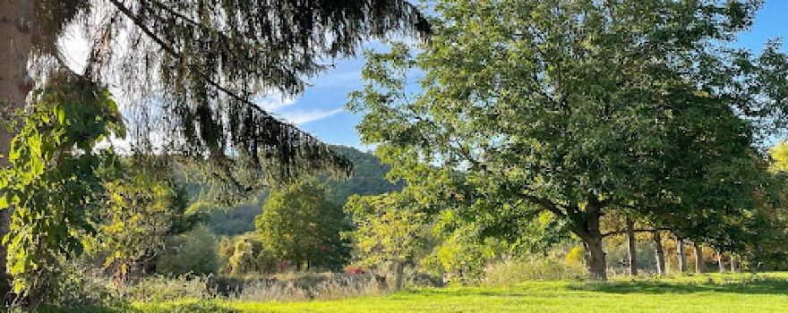 Camping Altenburschla