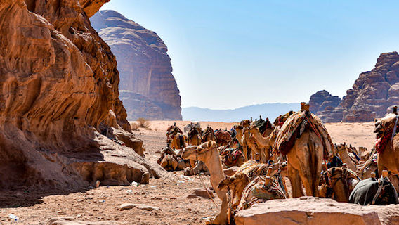 Wadi Rum Sunset View Point