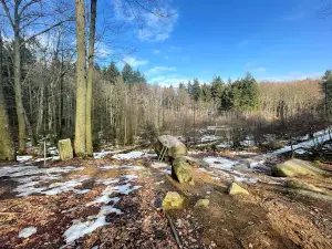 Rokkestenen