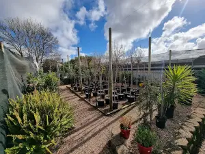 Peninsula Nursery & Garden Centre and Pets