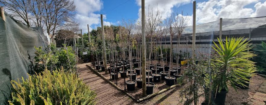 Peninsula Nursery & Garden Centre and Pets