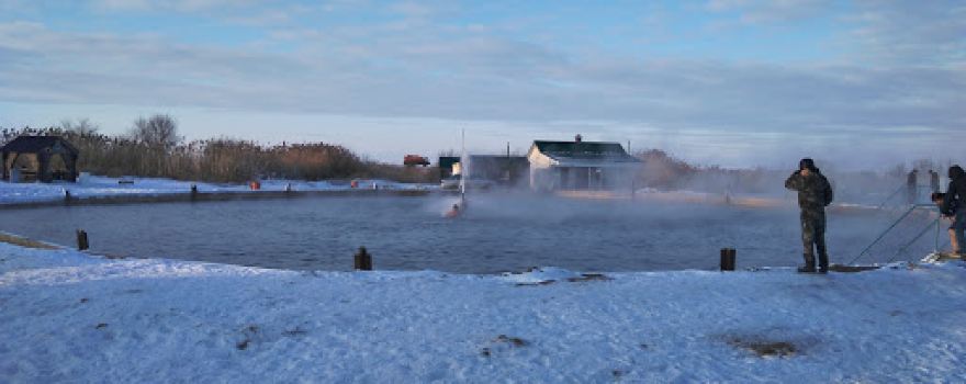 Hydrosulfide source Fountain