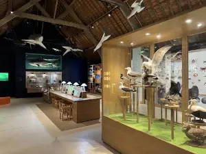 Tatihou Maritime Museum
