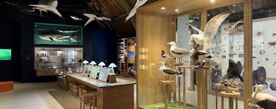 Tatihou Maritime Museum