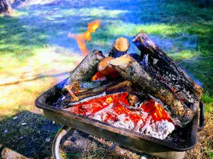 Evrensekiz Barajı Piknik Alanı