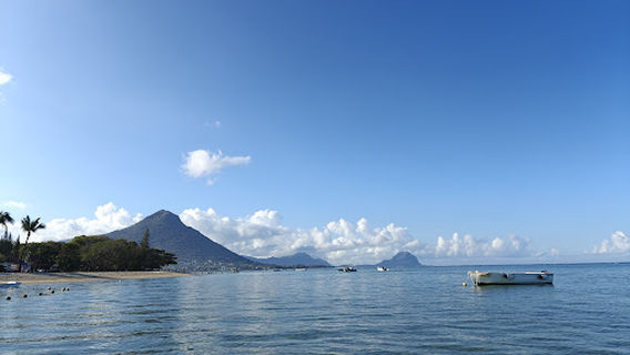 Santana Dolphins & Whales- Charter Mauritius