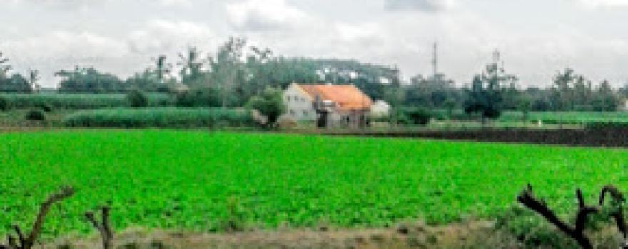 temple