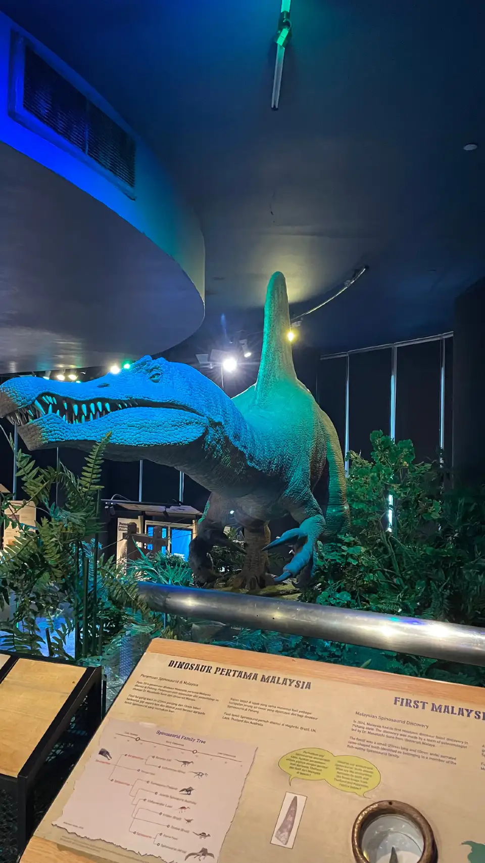 3_Petrosains