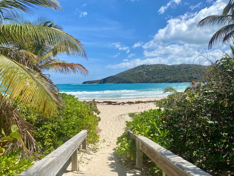 Greenville to Culebra Flights
