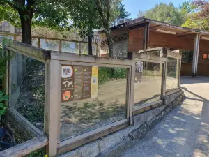 Vigozoo