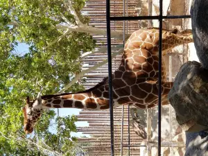 ABQ BioPark Zoo