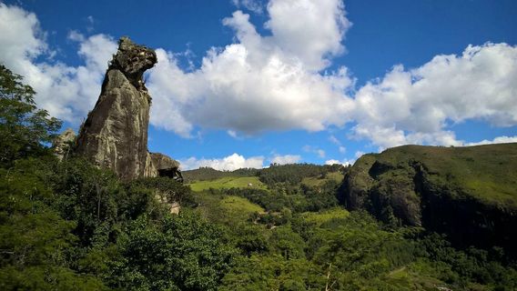 Pedra do cão sentado