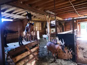 La Halte D'Autrefois