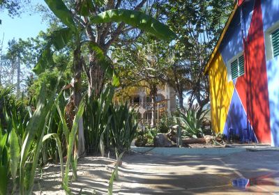 Punta Rucia