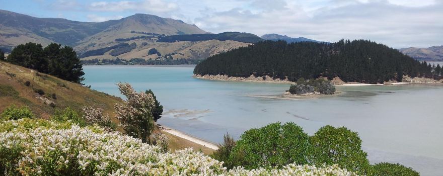 Quail Island
