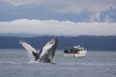 Glacier Wind Charters
