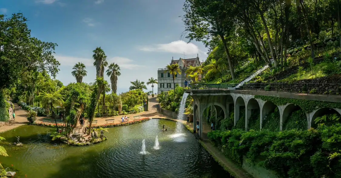 Hotels near Monte Palace Madeira