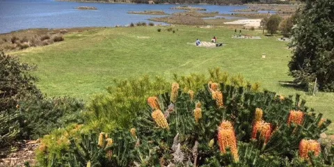 Inverawe Native Gardens