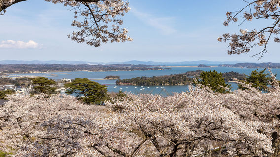 Saigyo Modoshi no Matsu Park