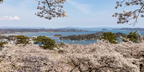 西行折回之松公園
