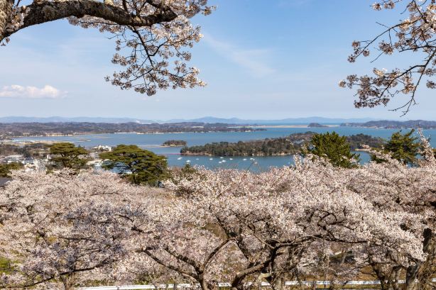 Saigyo Modoshi no Matsu Park