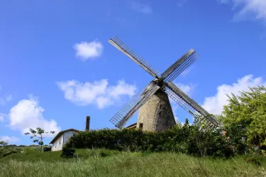 Morgan Lewis Sugar Mill