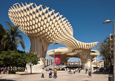 Setas de Sevilla