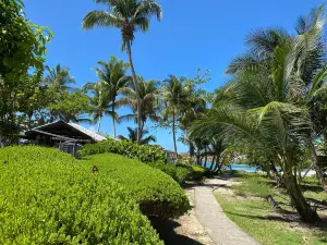 La Sagesse Nature Center