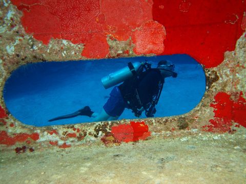 Kittiwake Shipwreck & Artificial Reef