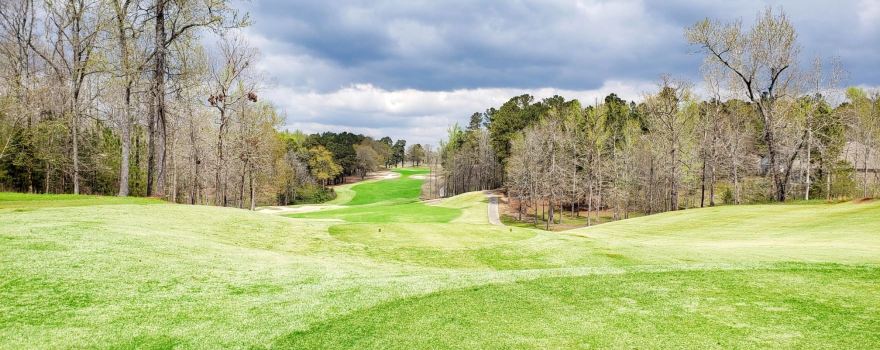 Mount Vintage Golf Club