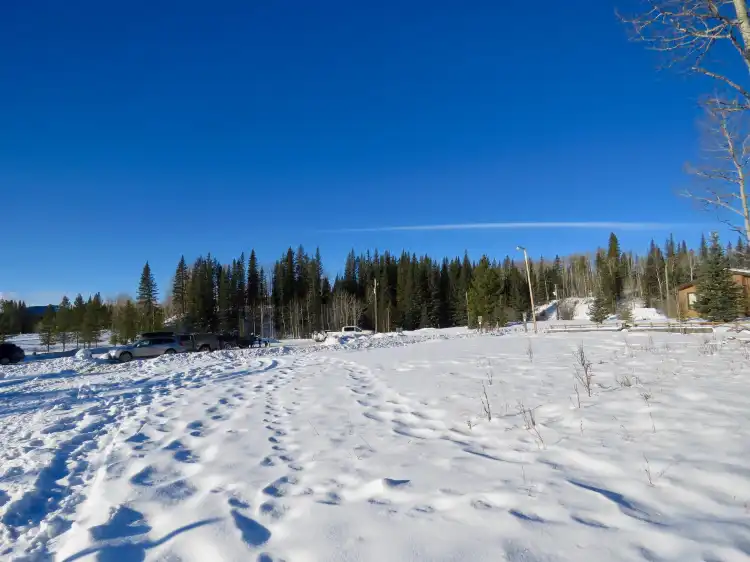 Hotels in Rocky View County