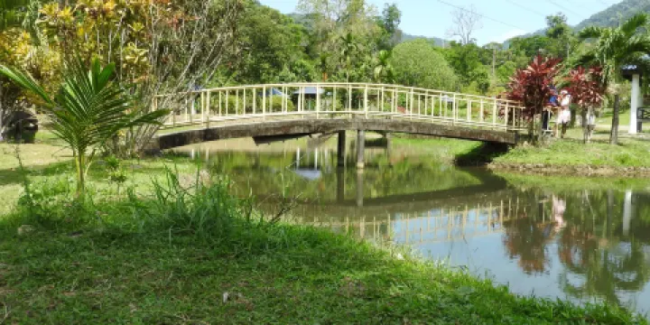 馬迪亞哥科技公園