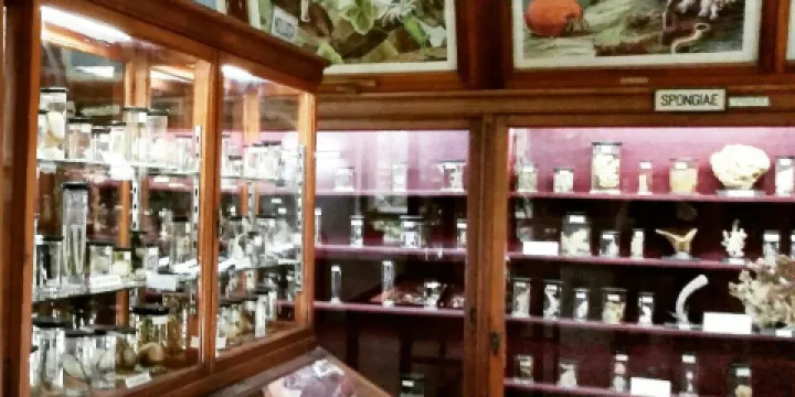 Zoology Museum