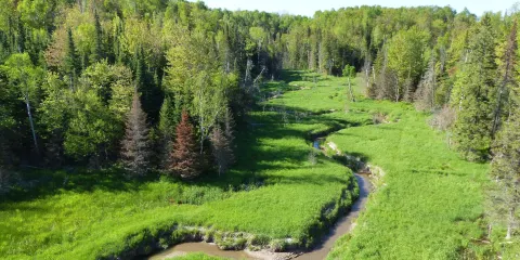 Fort Creek Conservation Area