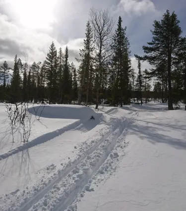 Tanndalen