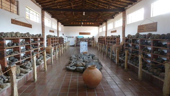 Museo Isaias Ardila Diaz