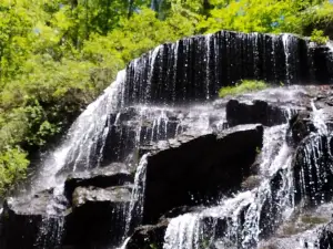 Yellow Branch Falls