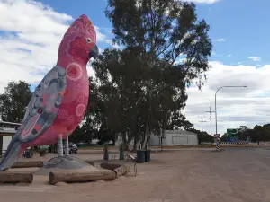 The Big Galah