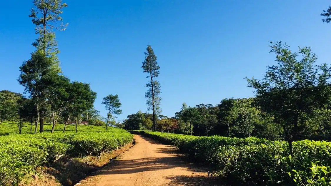 Hotels near Loolkandura