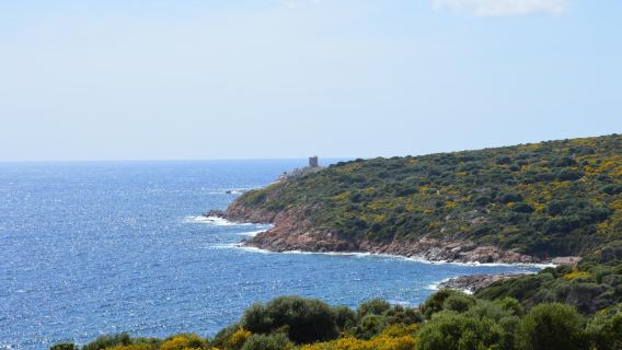 Torra d'Omigna