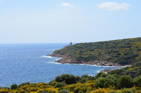 Torra d'Omigna