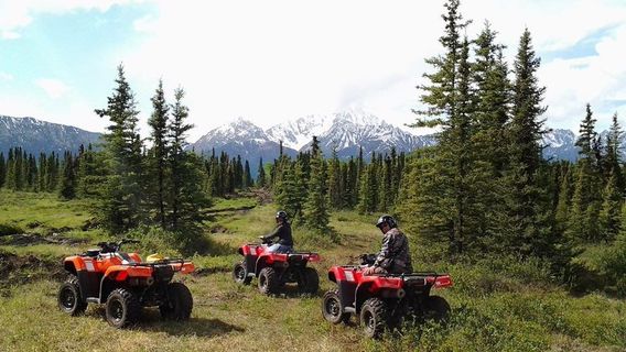 Glacier View Adventures