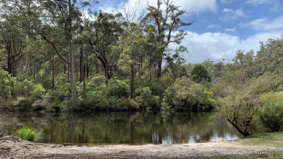 Glenoran Pool